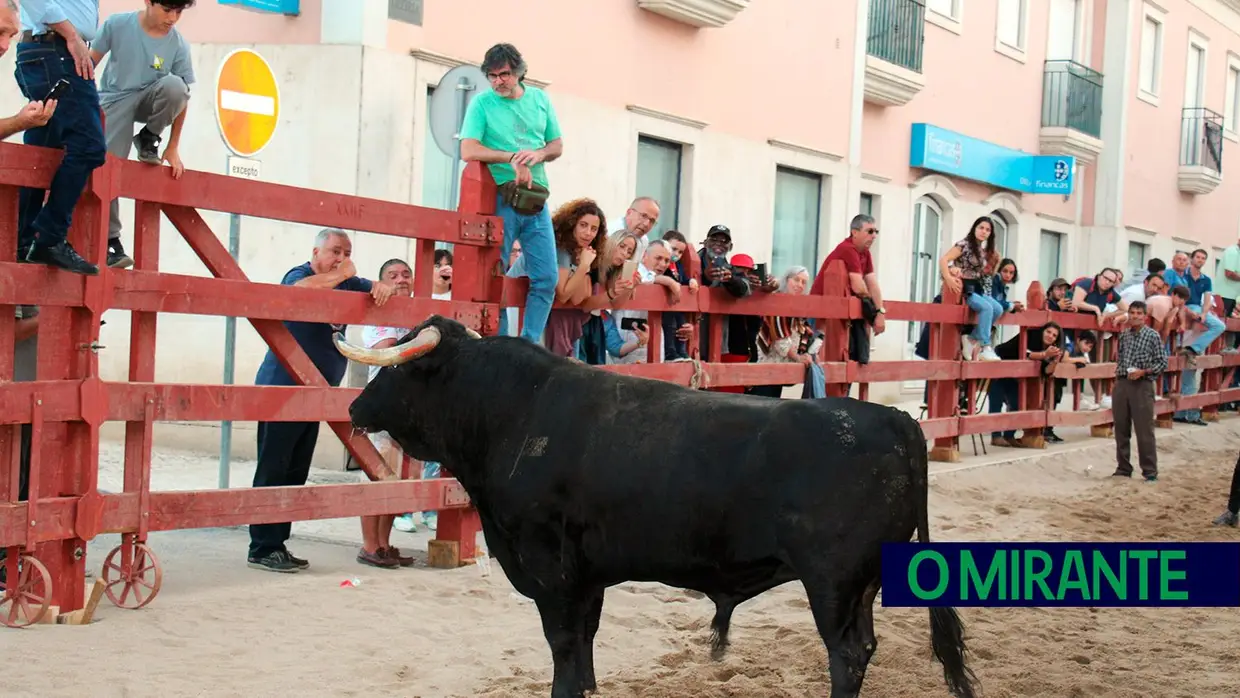 Feira de Maio arrancou com muita música, dança e largada de toiros