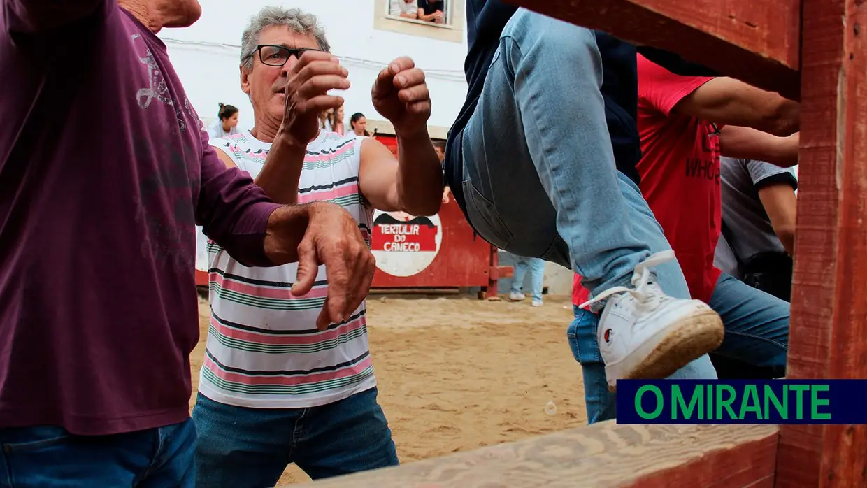 Campino António Gordo homenageado na Feira de Maio