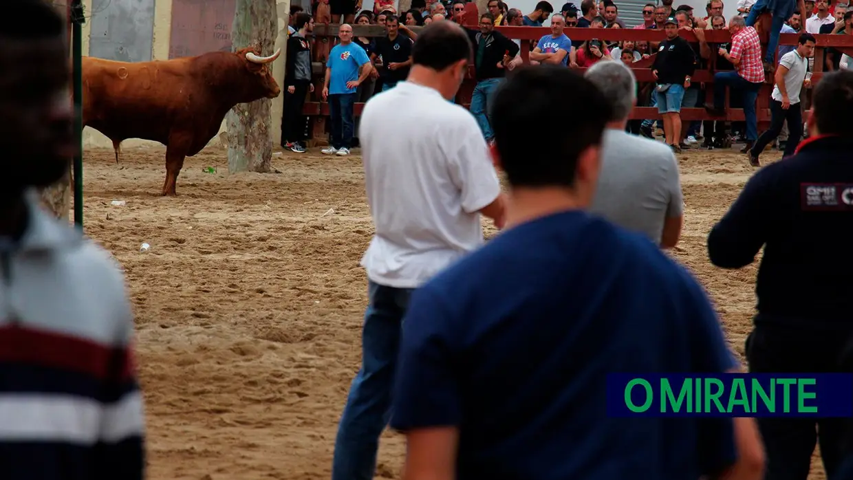 Campino António Gordo homenageado na Feira de Maio