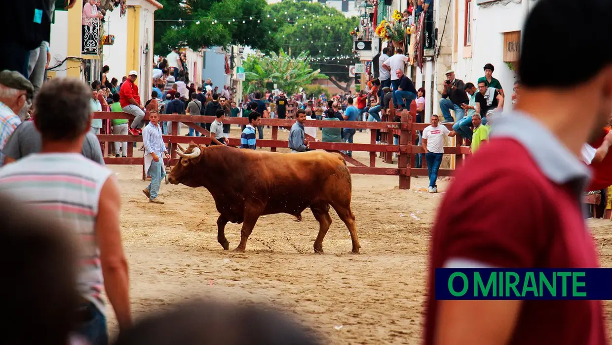 Campino António Gordo homenageado na Feira de Maio