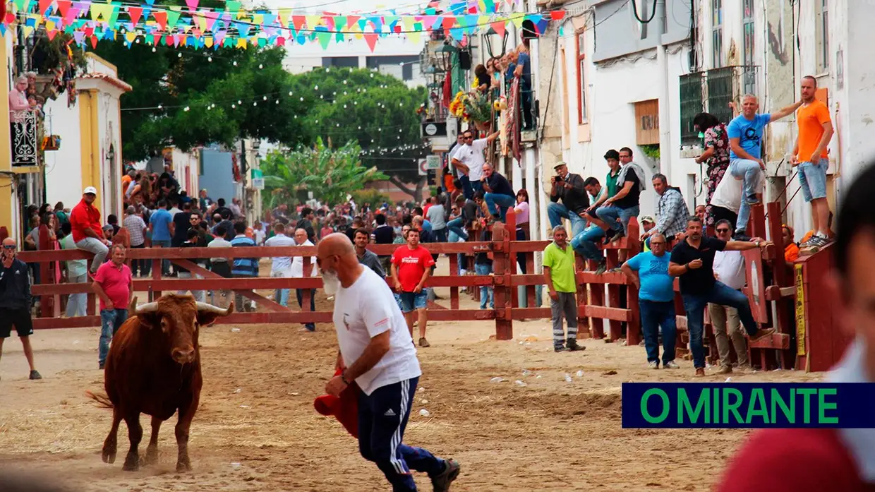 Campino António Gordo homenageado na Feira de Maio