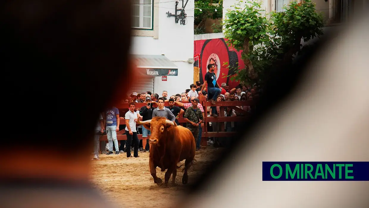 Campino António Gordo homenageado na Feira de Maio