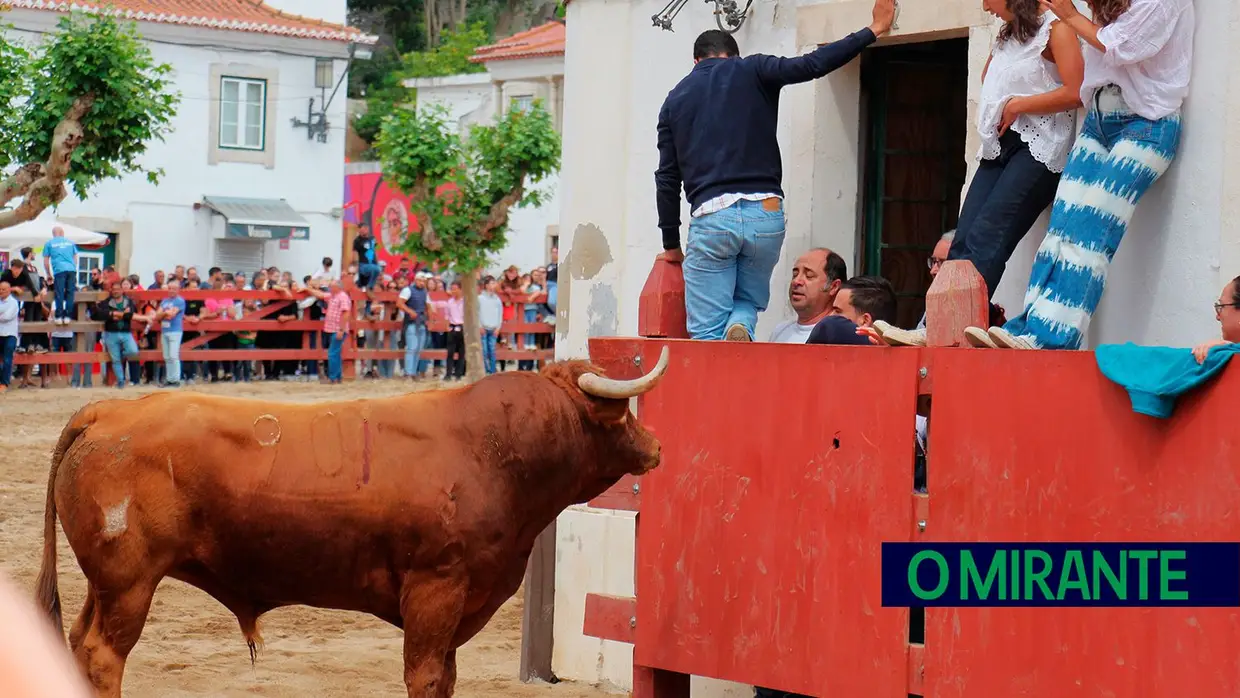 Campino António Gordo homenageado na Feira de Maio