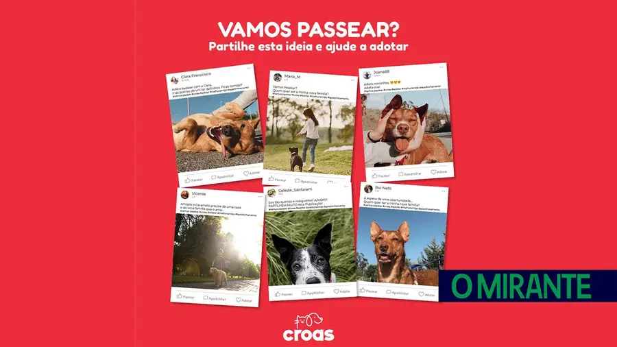 Santarém sensibiliza para a adopção de animais