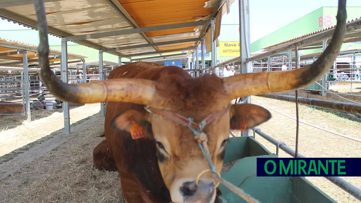 Feira Nacional de Agricultura inaugurada pelo Presidente e sem governantes