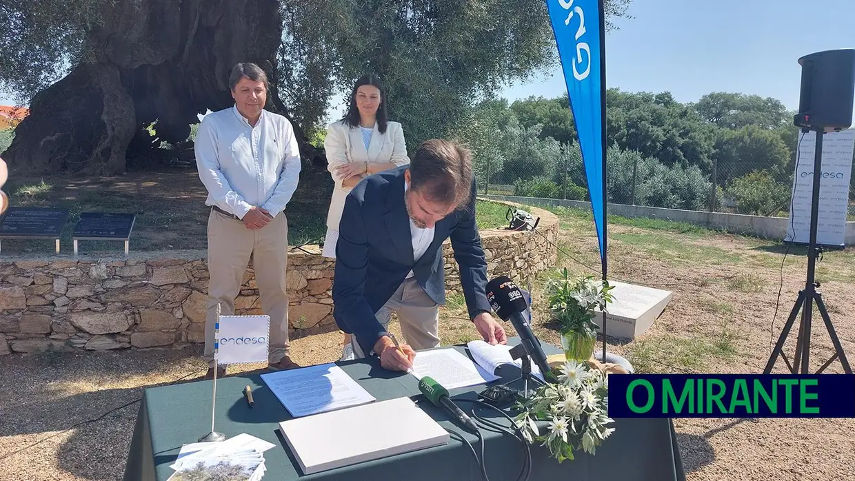 Endesa promove agronegócio na zona de Abrantes com a iniciativa inovadora "Apadrinha uma Oliveira"