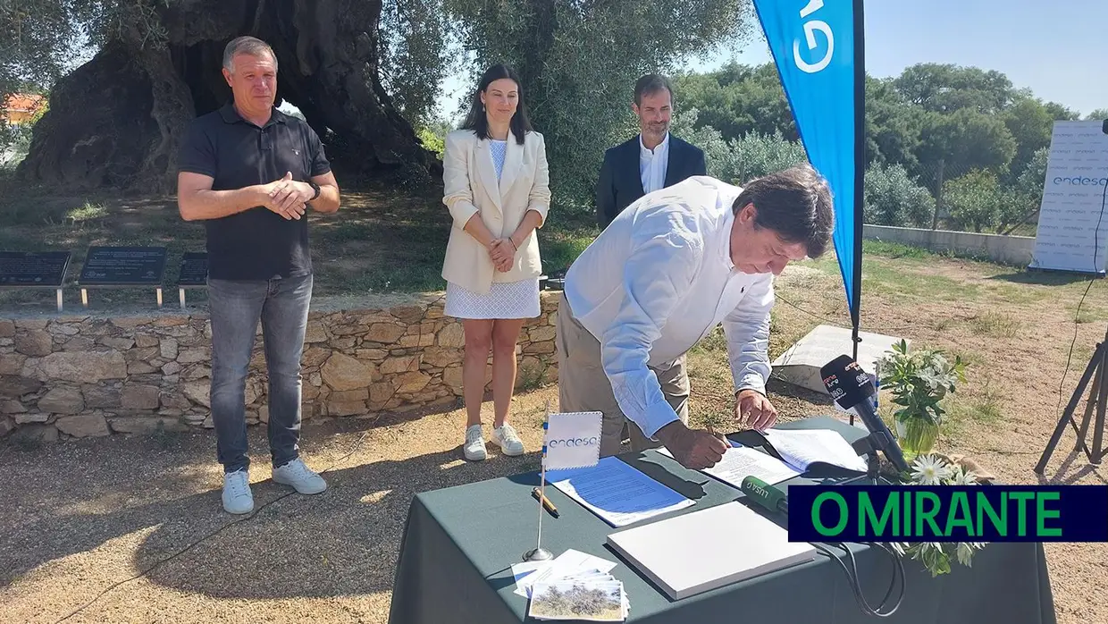 Endesa promove agronegócio na zona de Abrantes com a iniciativa inovadora "Apadrinha uma Oliveira"