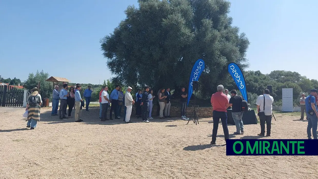 Endesa promove agronegócio na zona de Abrantes com a iniciativa inovadora "Apadrinha uma Oliveira"