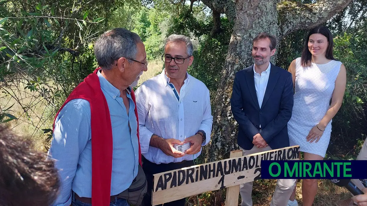 Endesa promove agronegócio na zona de Abrantes com a iniciativa inovadora "Apadrinha uma Oliveira"