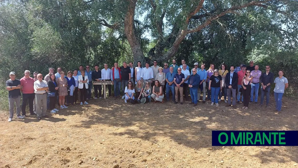 Endesa promove agronegócio na zona de Abrantes com a iniciativa inovadora "Apadrinha uma Oliveira"