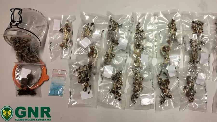 Detido por suspeita de tráfico de droga em Alpiarça Detido por suspeita de tráfico de droga em Alpiarça