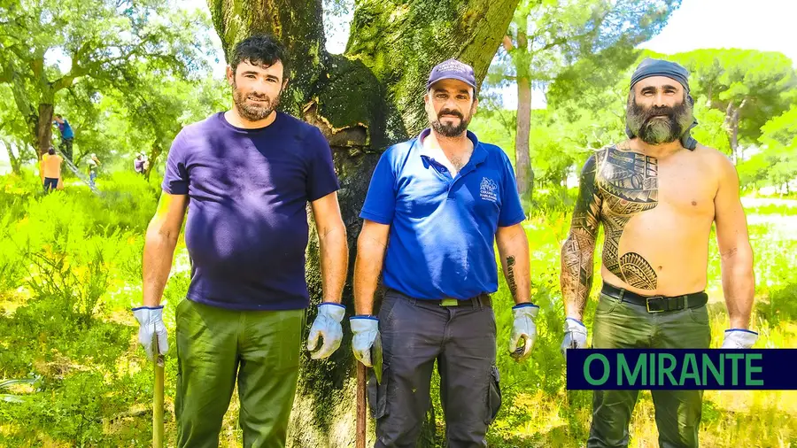 Falta de mão-de-obra prejudica sector da cortiça Falta de mão-de-obra prejudica sector da cortiça