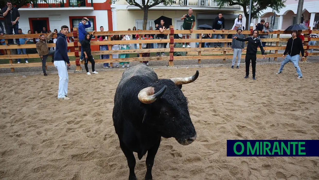 Festas do Foral, dos Toiros e do Fandango em Salvaterra de Magos