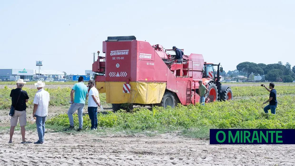 Grupo Pelarigo realizou o Open Day da Batata a 18 de Maio