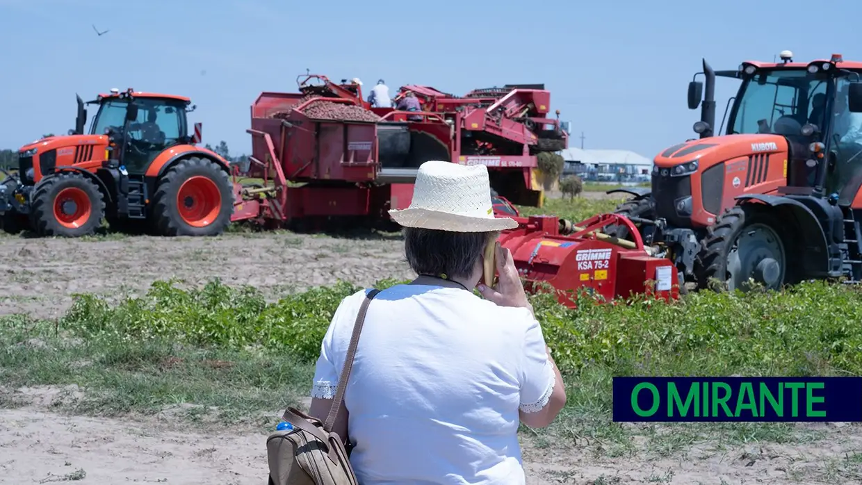 Grupo Pelarigo realizou o Open Day da Batata a 18 de Maio