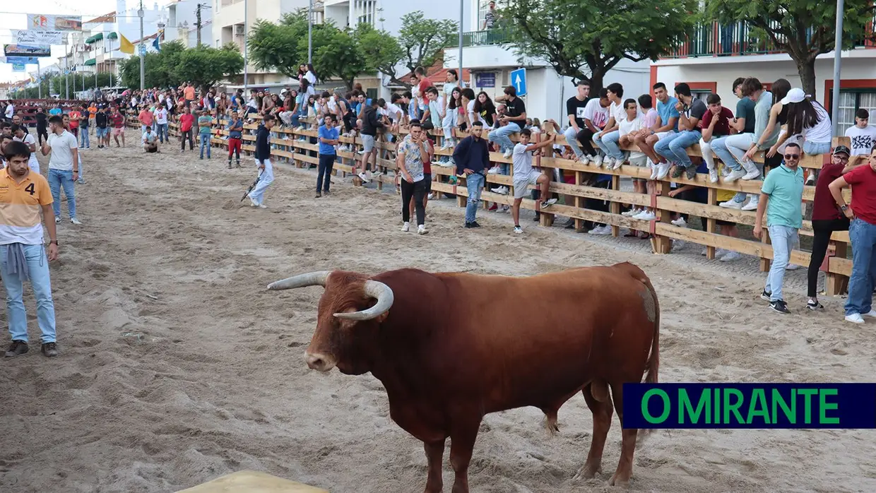 Enchente nas Festas do Foral, dos Toiros e do Fandango em Salvaterra