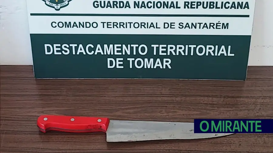 Detido por violência doméstica contra a ex-mulher em Tomar Detido por violência doméstica contra a ex-mulher em Tomar