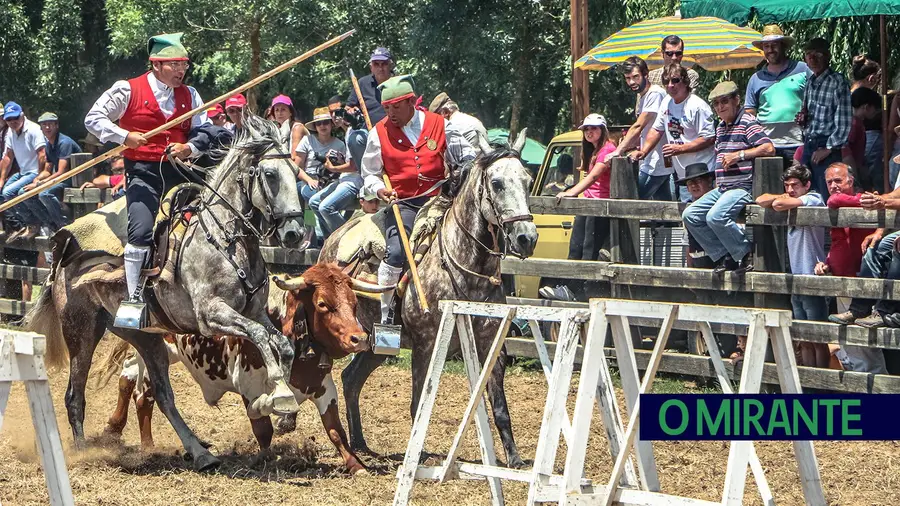 Festa da Amizade oferece 5 mil quilos de sardinhas em Benavente Festa da Amizade oferece 5 mil quilos de sardinhas em Benavente