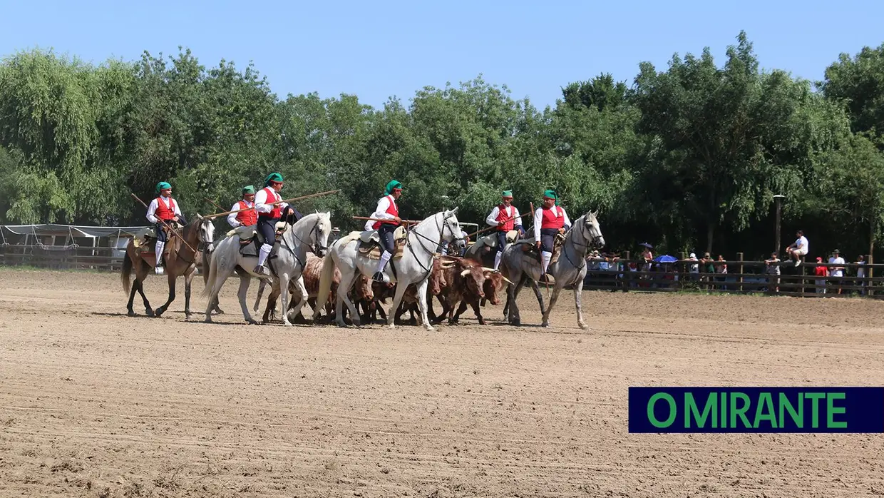 Milhares assistiram em Benavente à homenagem ao campino