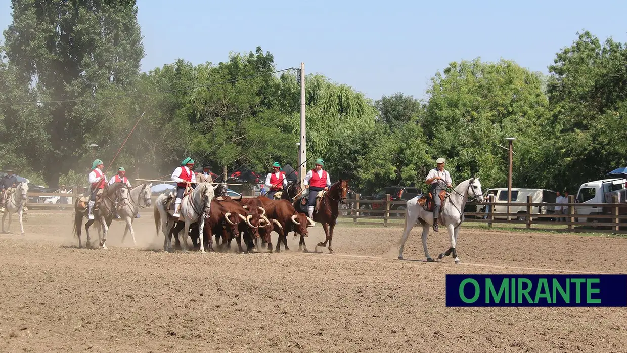 Milhares assistiram em Benavente à homenagem ao campino