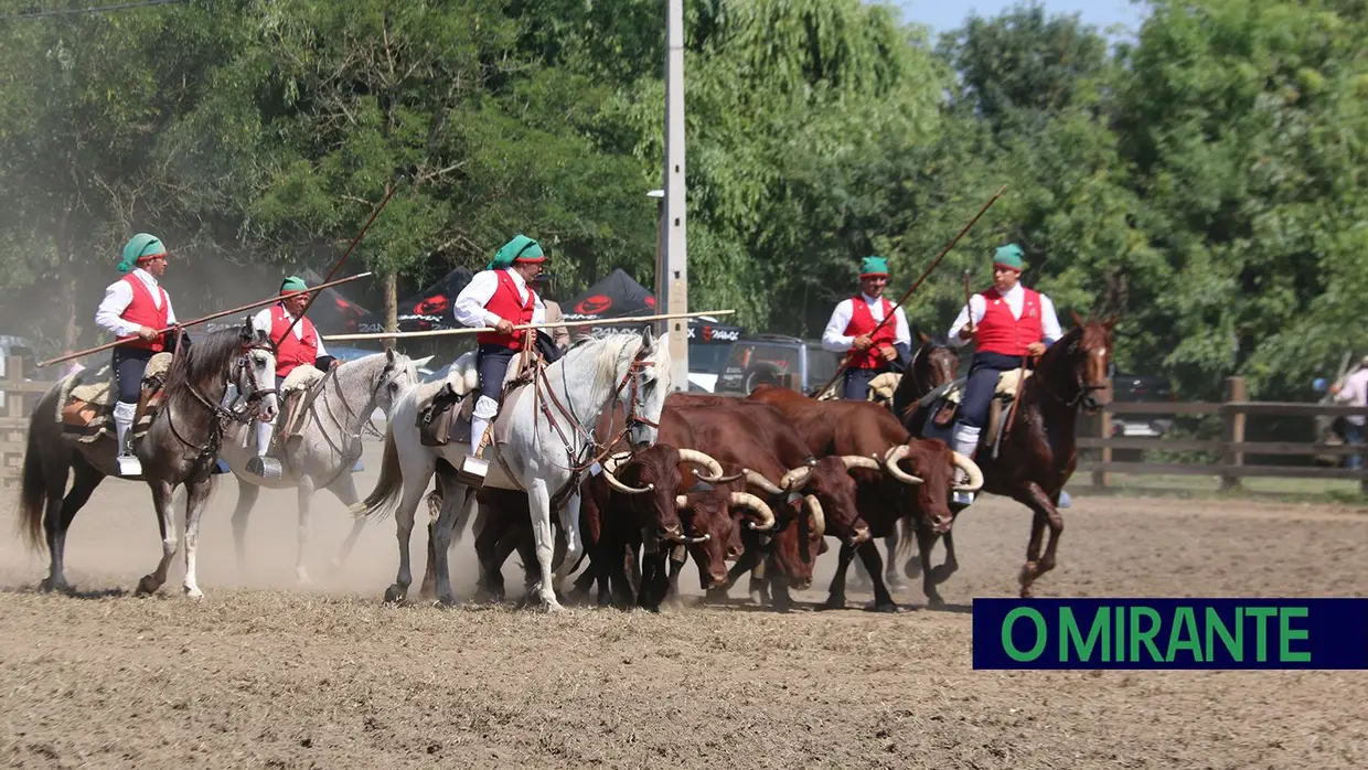 Milhares assistiram em Benavente à homenagem ao campino