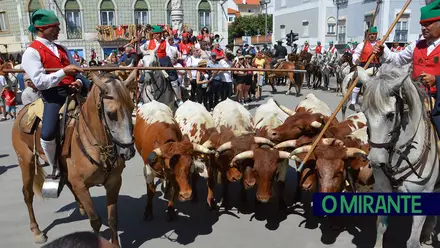 Emoção na homenagem ao campino em VFX