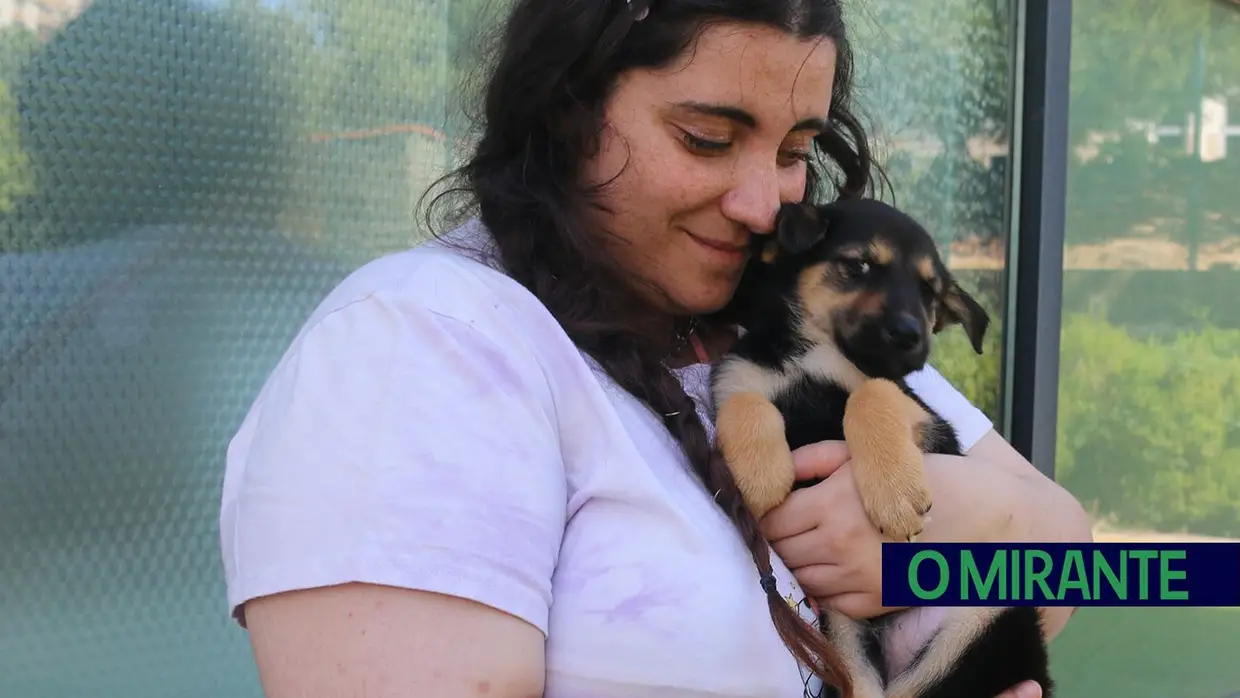 Cães alegram dia dos utentes da ARIPSI