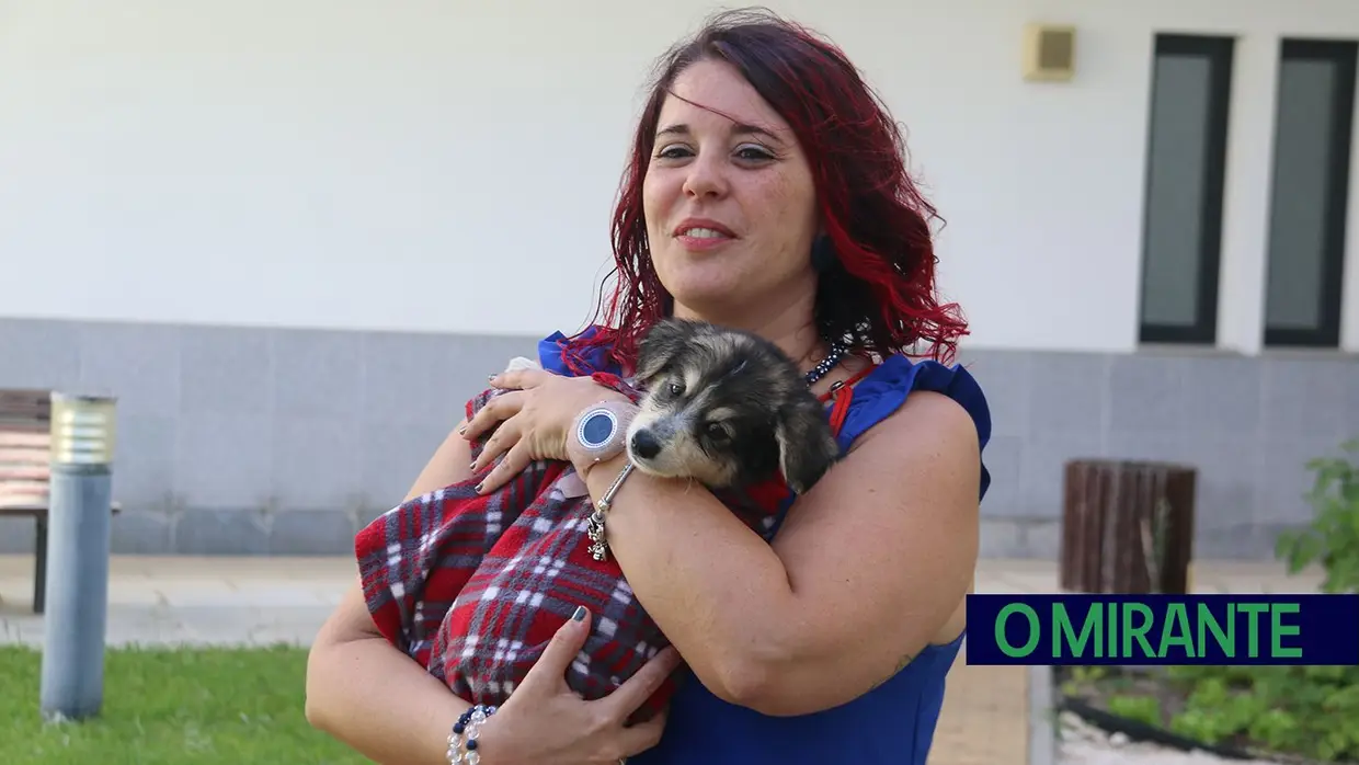 Cães alegram dia dos utentes da ARIPSI