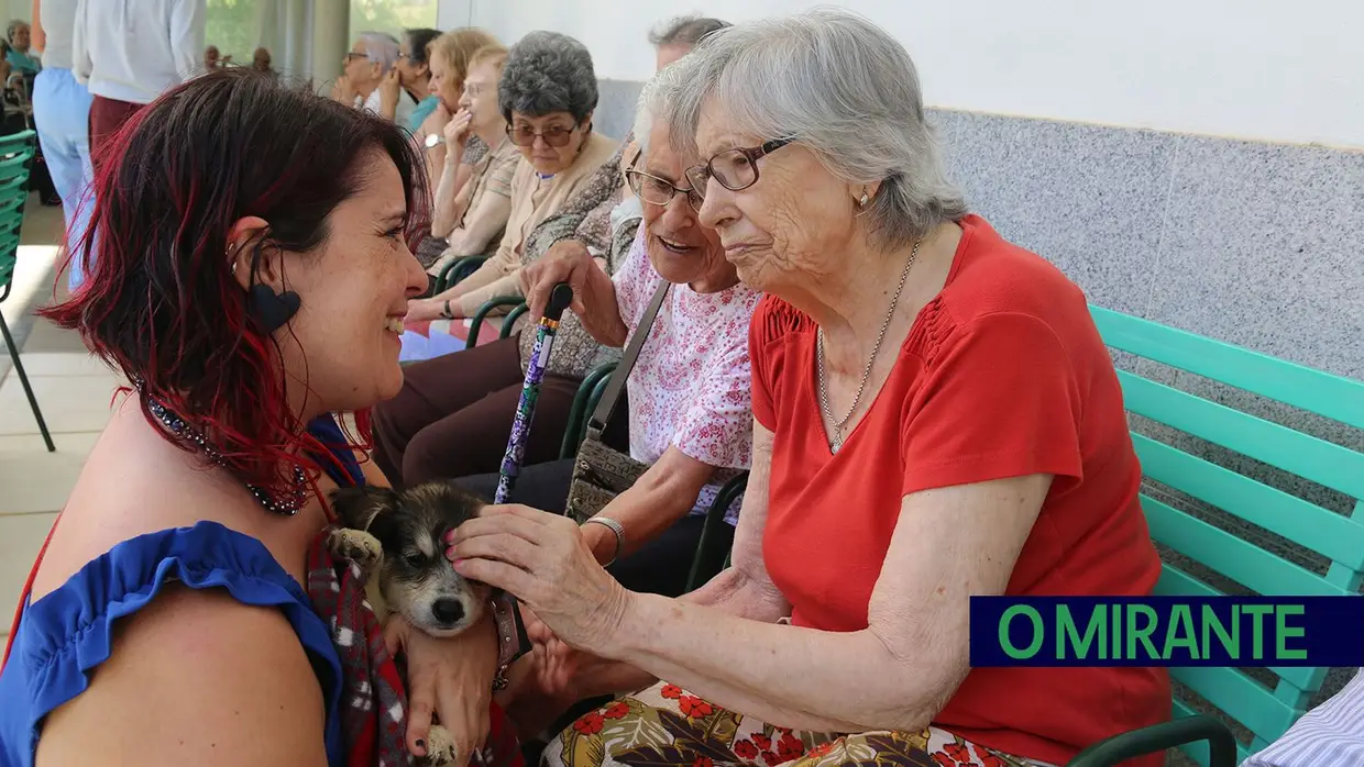 Cães alegram dia dos utentes da ARIPSI