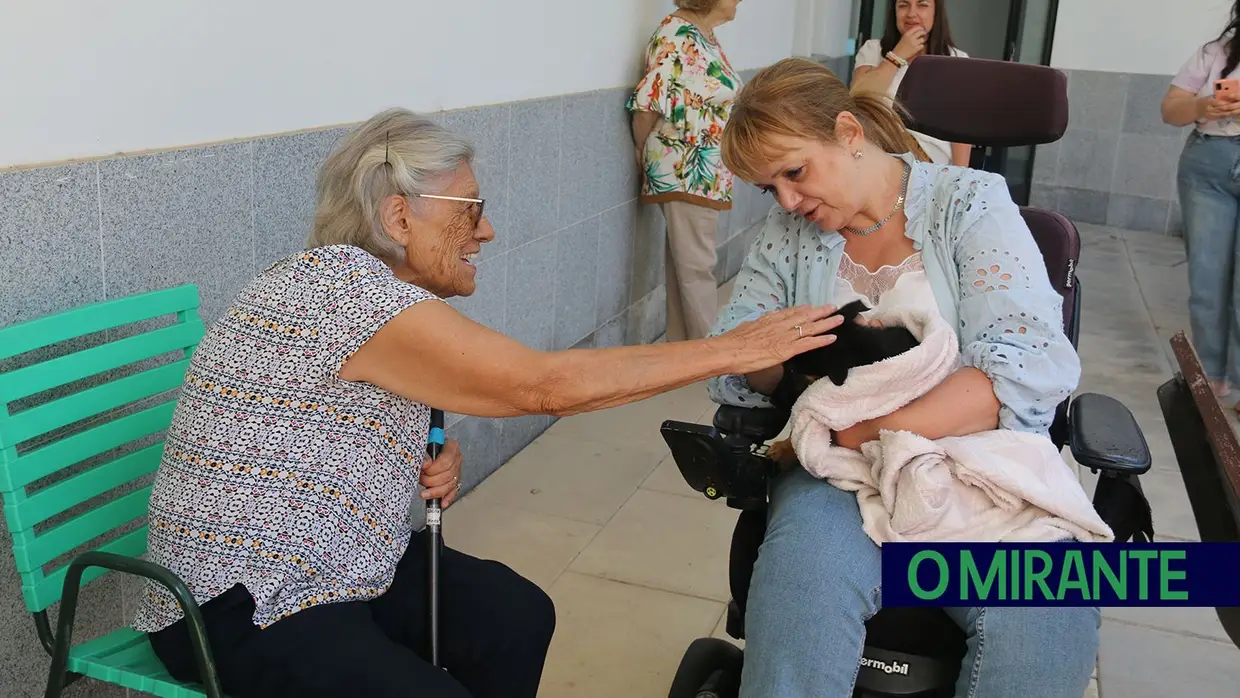 Cães alegram dia dos utentes da ARIPSI