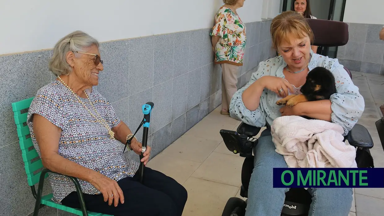 Cães alegram dia dos utentes da ARIPSI