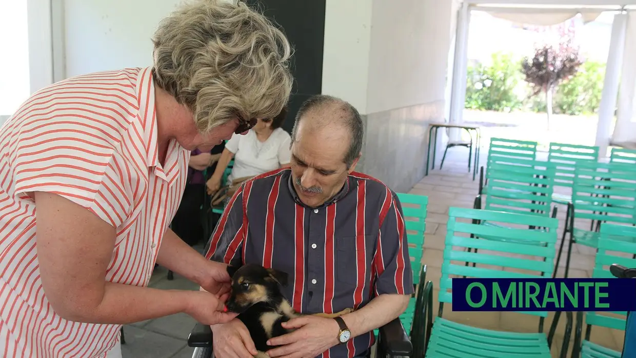 Cães alegram dia dos utentes da ARIPSI