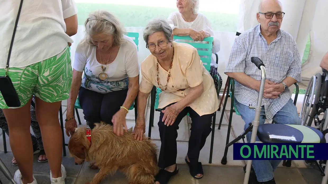 Cães alegram dia dos utentes da ARIPSI