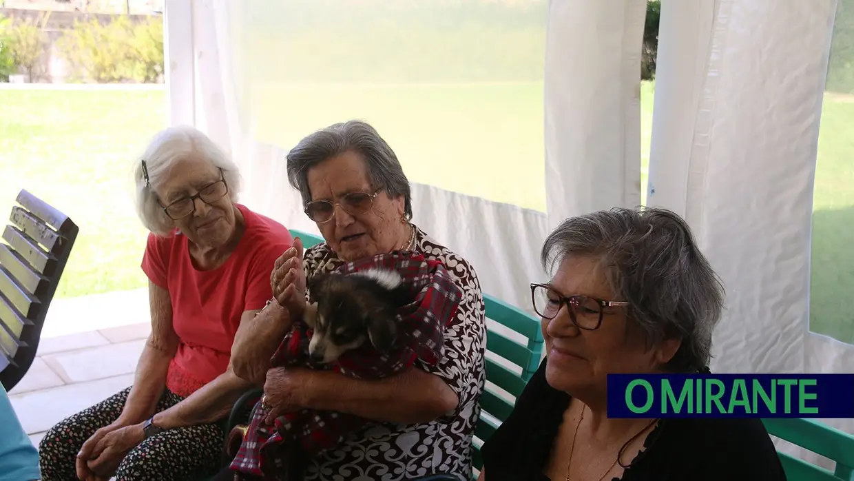 Cães alegram dia dos utentes da ARIPSI