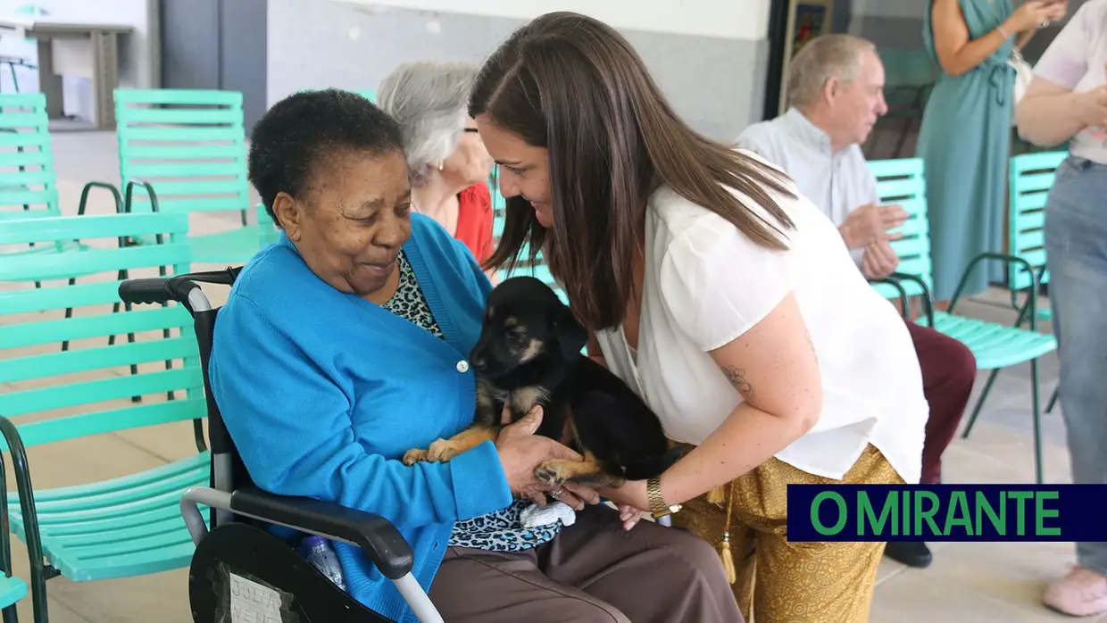 Cães alegram dia dos utentes da ARIPSI