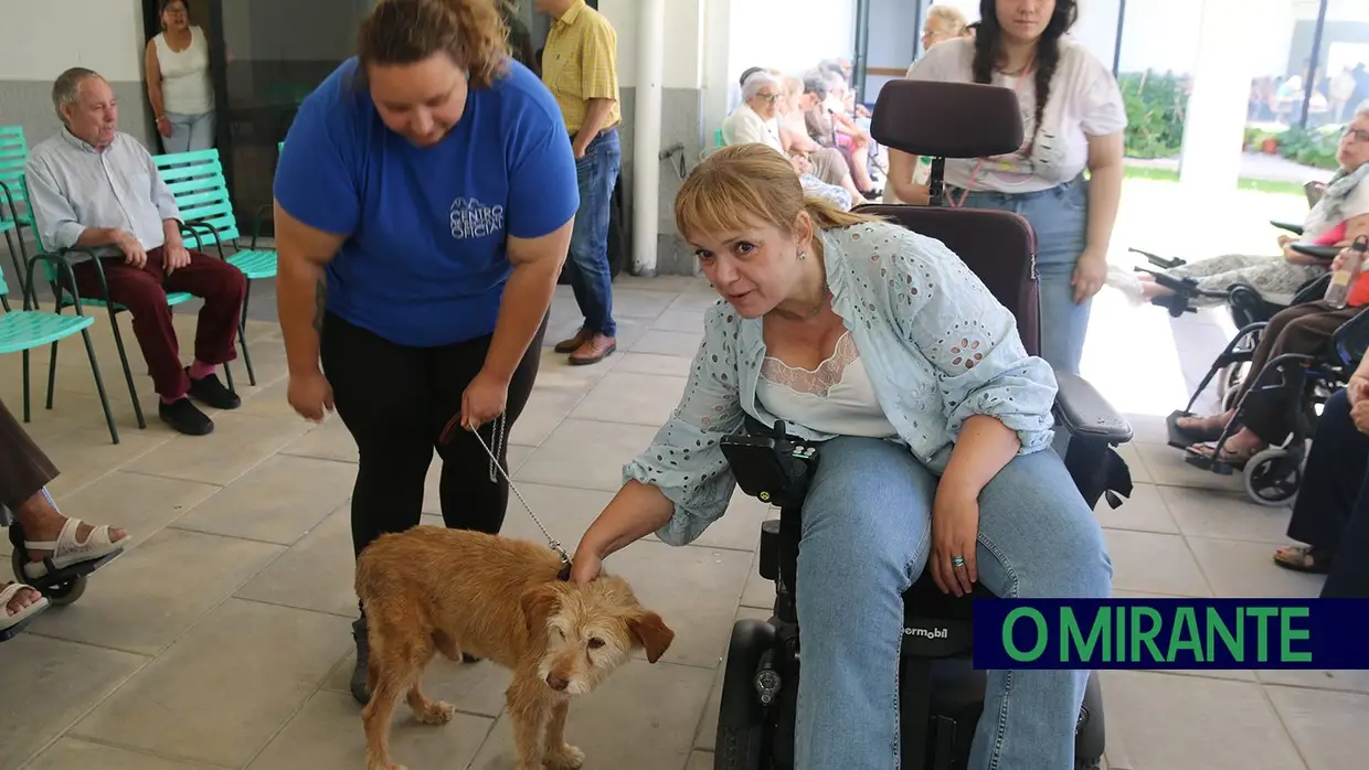 Cães alegram dia dos utentes da ARIPSI