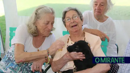 Cães alegram dia dos utentes da ARIPSI