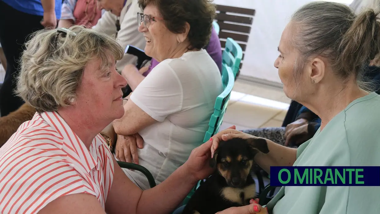 Cães alegram dia dos utentes da ARIPSI