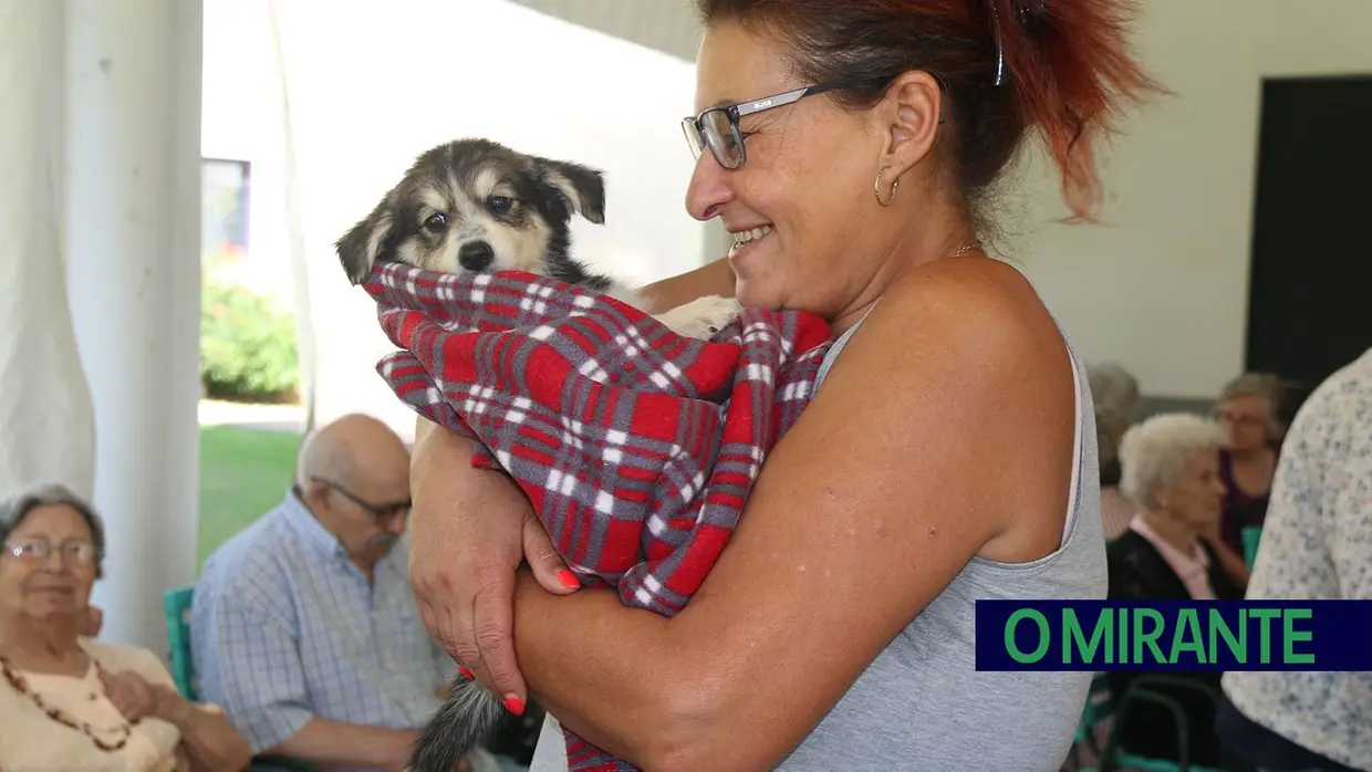 Cães alegram dia dos utentes da ARIPSI