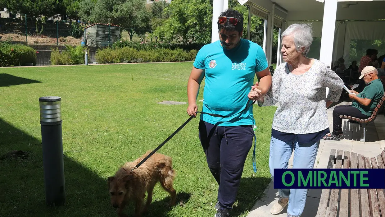 Cães alegram dia dos utentes da ARIPSI