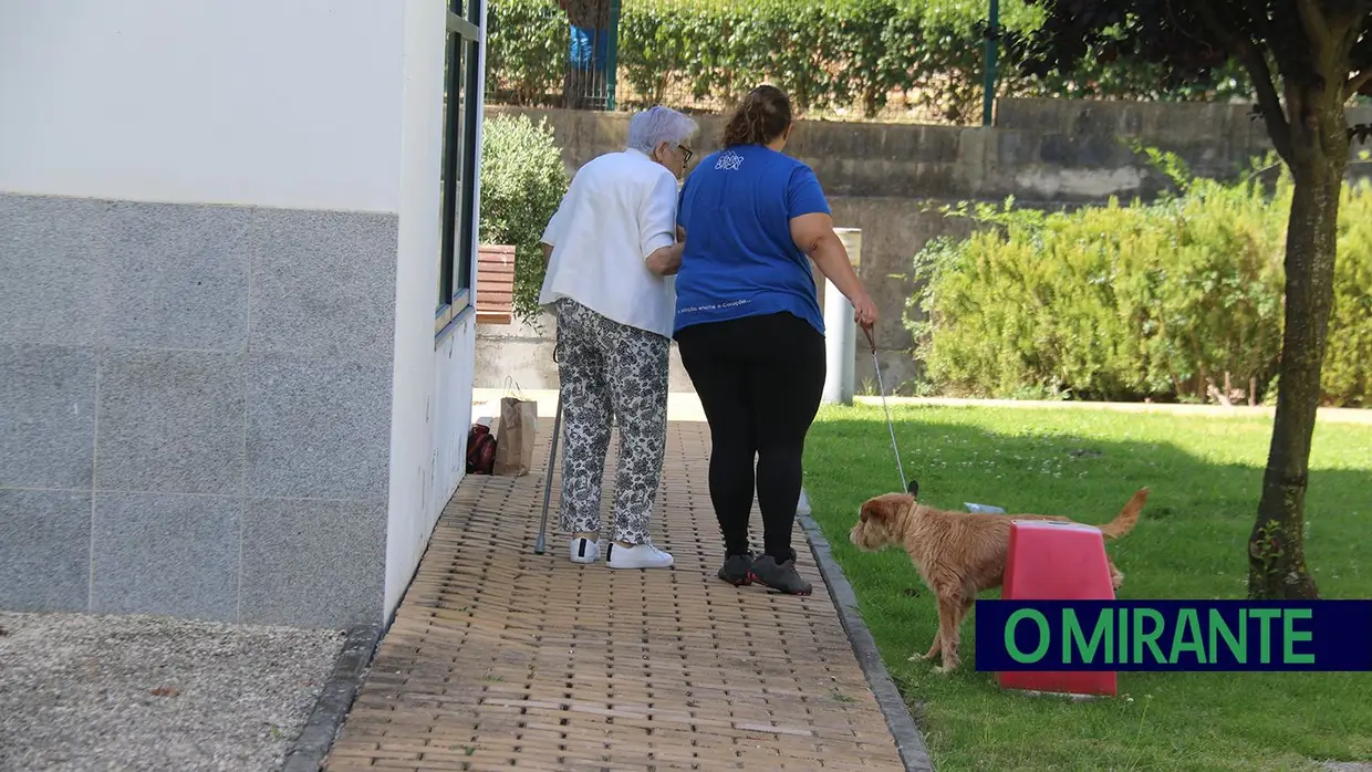 Cães alegram dia dos utentes da ARIPSI