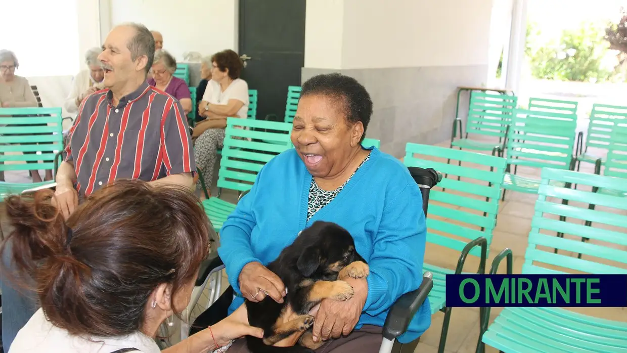 Cães alegram dia dos utentes da ARIPSI