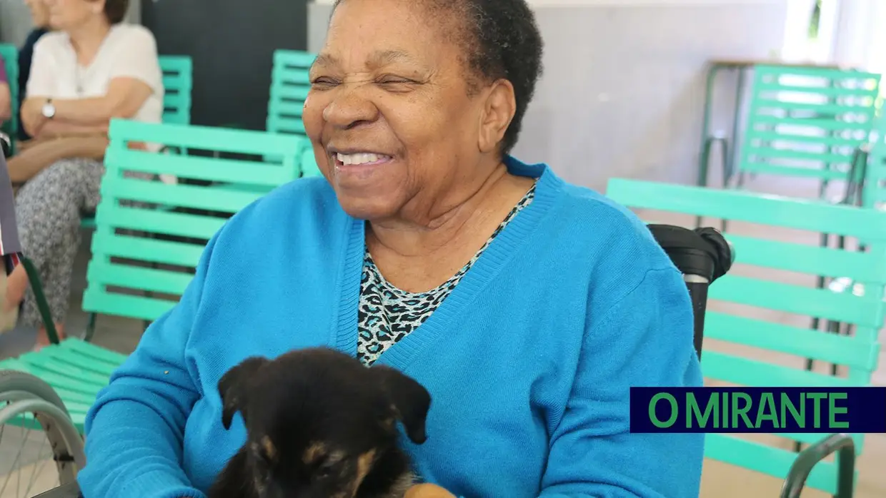 Cães alegram dia dos utentes da ARIPSI