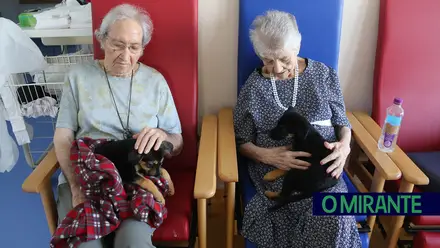 Utentes da ARIPSI convivem com cães do Centro de Recolha de Vila Franca de Xira