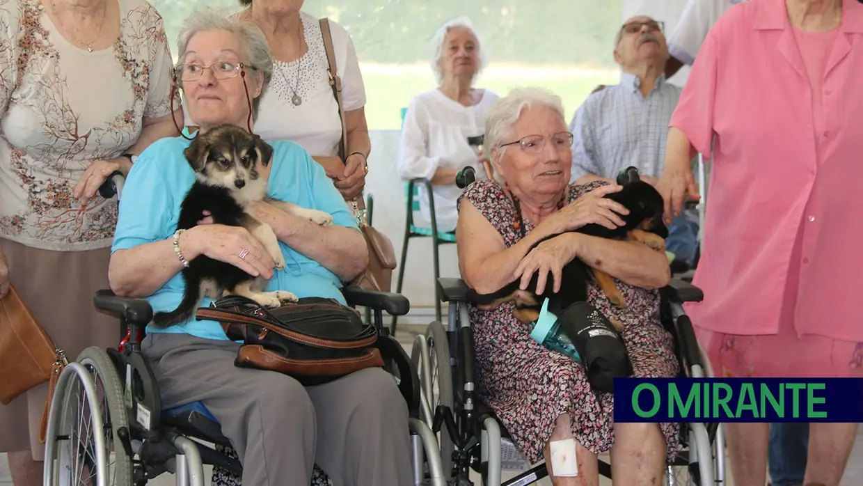 Cães alegram dia dos utentes da ARIPSI