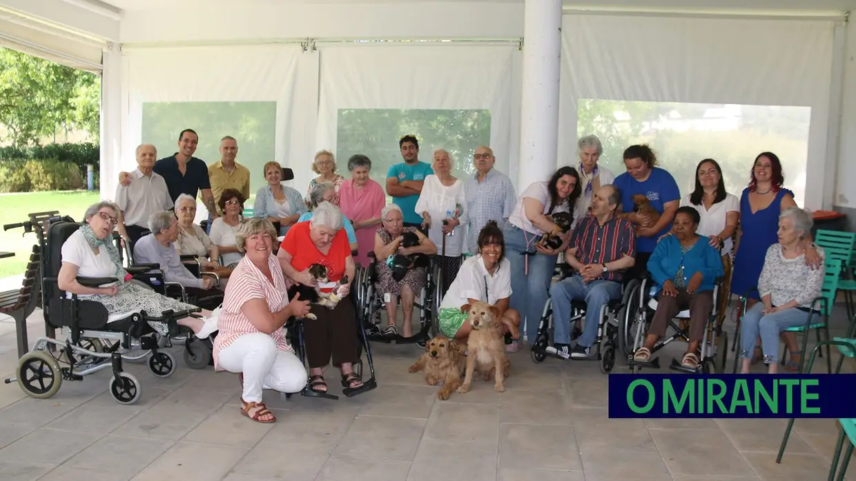 Cães alegram dia dos utentes da ARIPSI