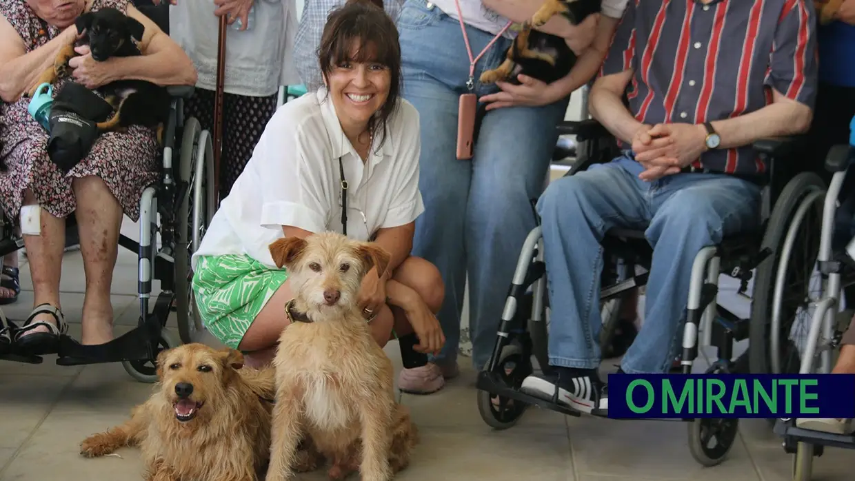 Cães alegram dia dos utentes da ARIPSI