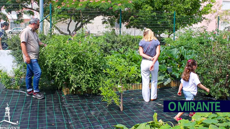 Jardim de Infância da Lezíria inaugura Horta Feliz