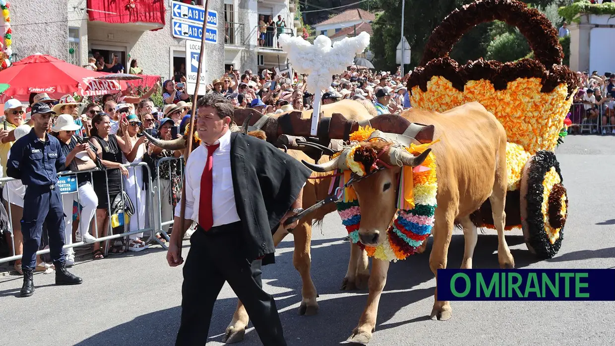 Milhares visitam Tomar para assistir ao cortejo principal da Festa dos Tabuleiros
