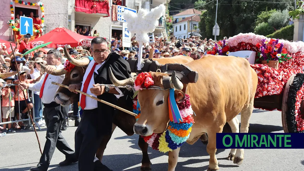 Milhares visitam Tomar para assistir ao cortejo principal da Festa dos Tabuleiros